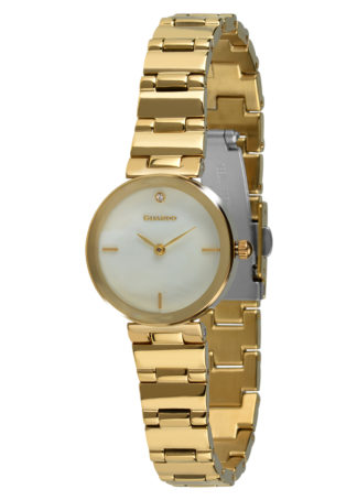 Женские часы Guardo Premium T01070-5