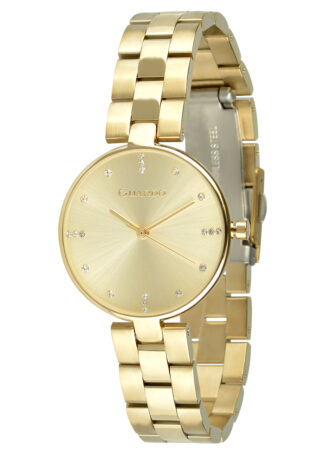 Жіночий годинник Guardo Premium 012666-3.