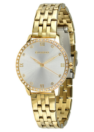 Жіночий годинник Guardo Premium 012746-3.