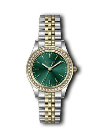 Жіночий годинник Guardo Premium 012785-4.